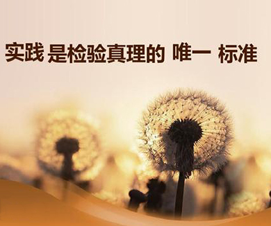 理论逻辑是实践逻辑的科学反映