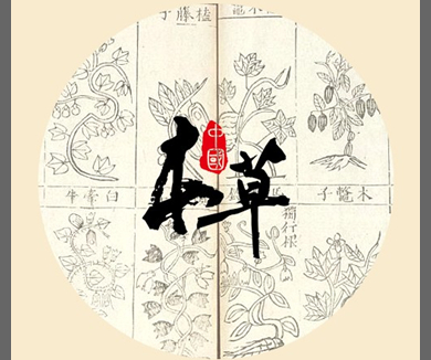 本草中国02