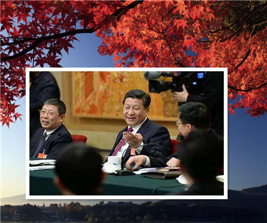 习近平代表的两会故事2017