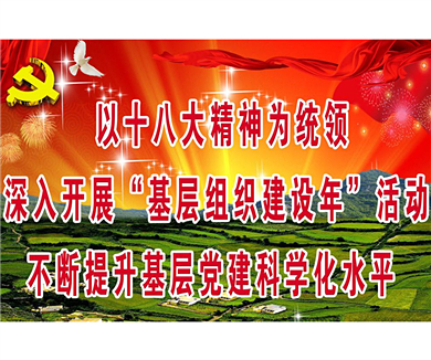 全面推进党的建设新的伟大工程（下）