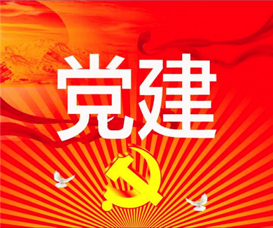 第7集 党组织建设的重要性