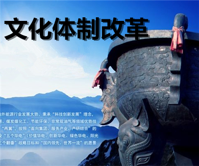 05 文化体制改革