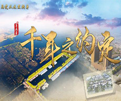 千年之约定