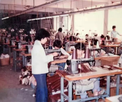 手袋里的历史