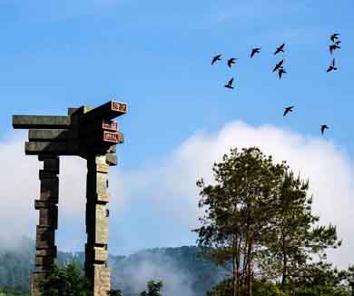 第十一集 青川（上）