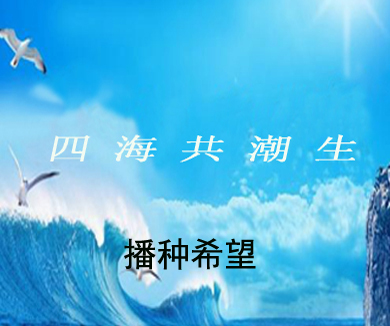 （6）播种希望