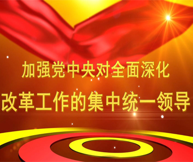 第九集 加强党中央对全面深化改革工作的集中统一领导