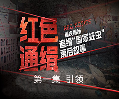 第1集 引领