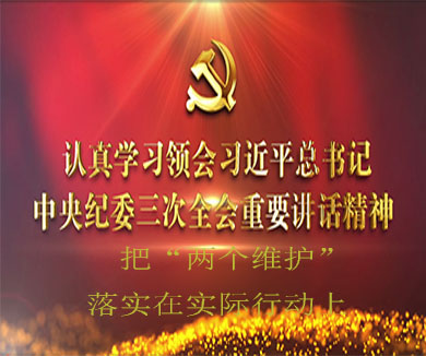 把“两个维护”落实在实际行动上