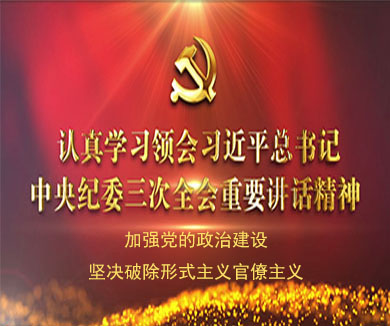以党的政治建设为统领 坚决破除形式主义官僚主义