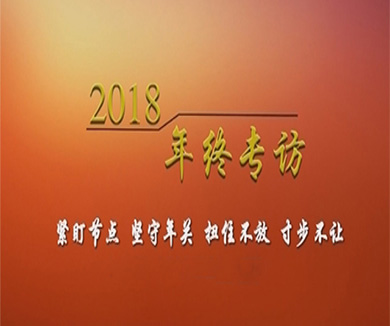 中央纪委国家监委部分厅室局有关同志2018年终专访