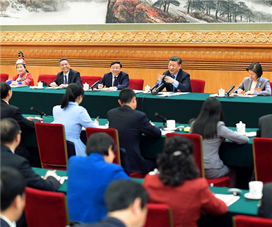 习近平参加福建代表团审议