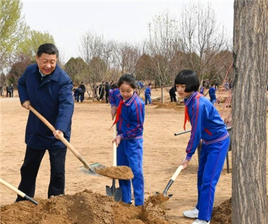 习近平参加首都义务植树活动
