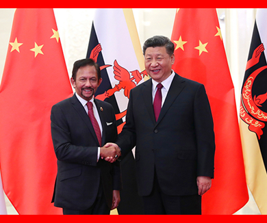 习近平会见文莱苏丹