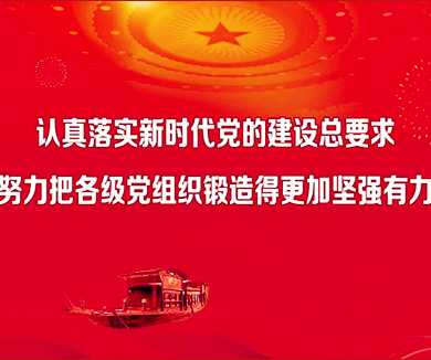 新时代党的建设总要求和八项重点任务