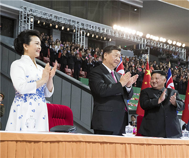 习近平和彭丽媛观看朝鲜大型团体操和艺术演出