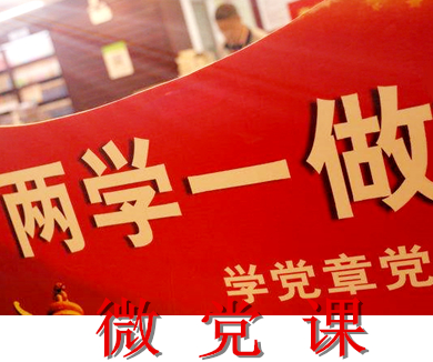 互联网企业“两学一做”专家辅导微党课07