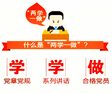 互联网企业“两学一做”专家辅导微党课09
