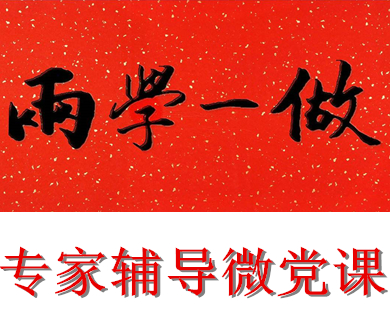 互联网企业“两学一做”专家辅导微党课16