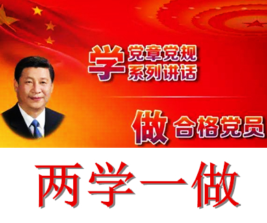 互联网企业“两学一做”专家辅导微党课17