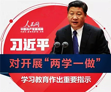互联网企业“两学一做”专家辅导微党课18