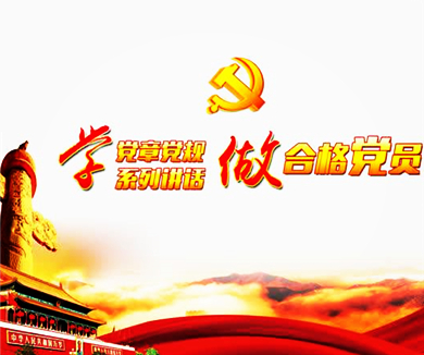 互联网企业“两学一做”专家辅导微党课22