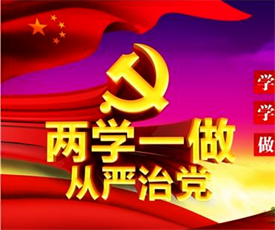 互联网企业“两学一做”专家辅导微党课23