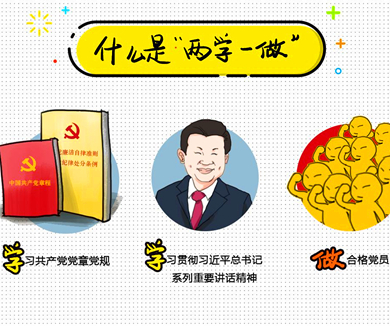 互联网企业“两学一做”专家辅导微党课24