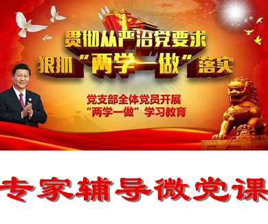 互联网企业“两学一做”专家辅导微党课25