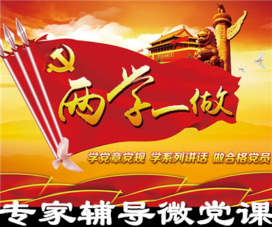 互联网企业“两学一做”专家辅导微党课28