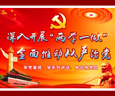 互联网企业“两学一做”专家辅导微党课29