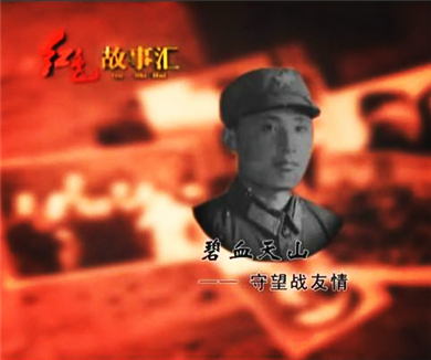 碧血天山