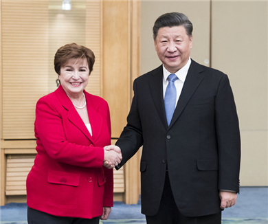 习近平会见国际货币基金组织总裁