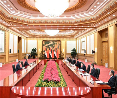 习近平会见埃及总统