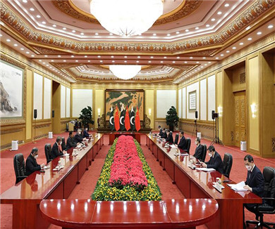 习近平会见巴基斯坦总理