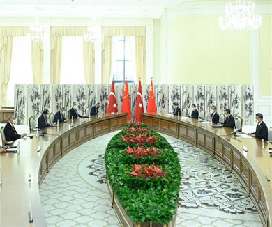 习近平会见土耳其总统