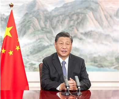 习近平在第五届进口博览会开幕式上发表致辞	