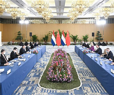 习近平会见荷兰首相