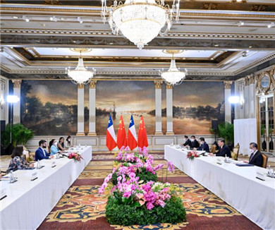 习近平会见智利总统