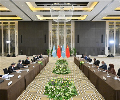 习近平会见索马里总统