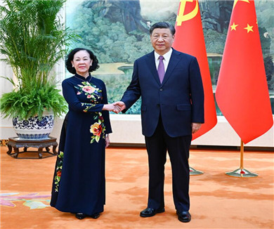 习近平会见越共中央政治局委员