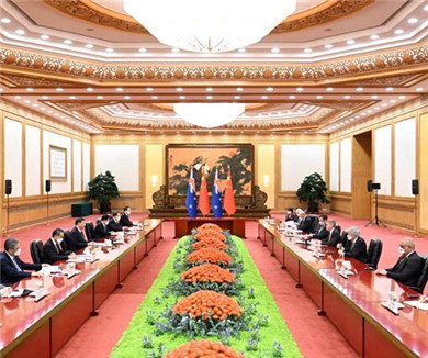 习近平会见新西兰总理