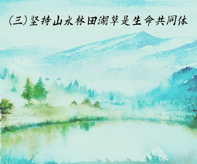 坚持山水林田湖草是生命共同体
