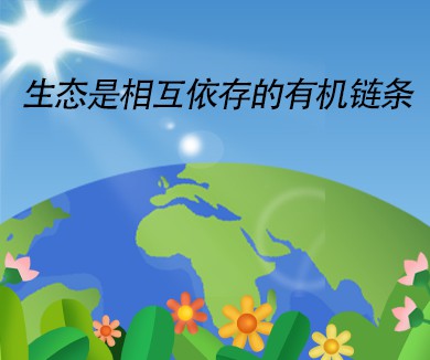 生态是相互依存的有机链条