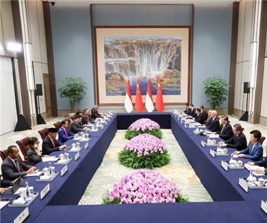 习近平会见印度尼西亚总统