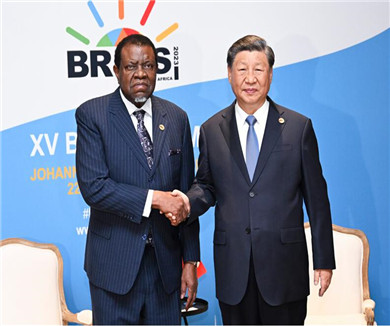 习近平会见纳米比亚总统