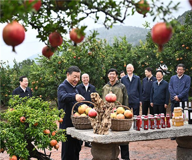 习近平在浙江考察时强调