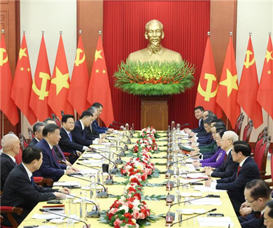 习近平同越共中央总书记举行会谈