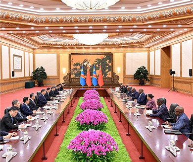 习近平会见刚果总统