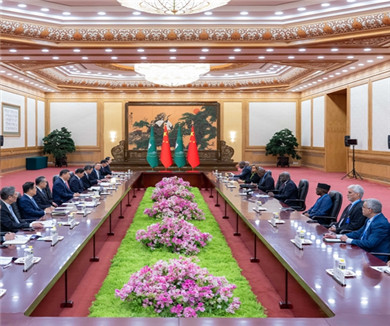 习近平会见非盟委员会主席